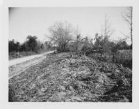 Muddy roadside in East Feliciana Parish in 1960