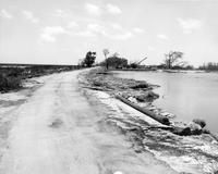 Looking west on State Route Highway 82 after Hurricane Audrey