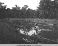Bayou du Lac during drainage improvement project near Bunkie Louisiana in 1899