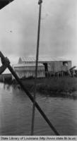 Shrimp drying platform in Manila Village Louisiana in the 1930s