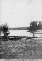 Levee at Caritts on the Red River in north Louisiana in 1903