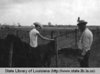 Men with drying rack at the Duet Moss Gin in Labadieville Louisiana in 1970