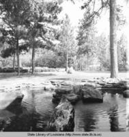 Pond at Hodges Gardens in Many Louisiana circa 1970s
