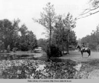 Saddlewood Farms, a horse rance near Covington Louisiana in the 1970s