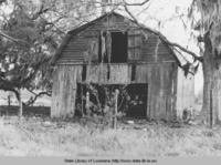 Old time derelict Louisiana barn