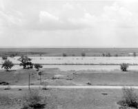 View North Across Pecan Island after Hurricane Audrey