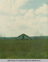 Barn on stilts in field near Donaldsonville Louisiana