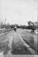 Cavitt Jones Levee on the Red River in North Louisiana in 1903