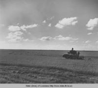 McCormick-Deering rice combine in operation on Simon Gronet farm in Kaplan Louisiana in 1945