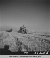 Combines in rice fields on farm near Kaplan Louisiana in 1945
