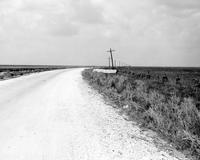 Looking North Along Highway 27 after Hurricane Audrey