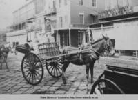 Milk wagon on Decatur Street in New Orleans Louisiana in the 1880s