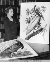 State Librarian Essae M. Culver with Audubon prints at the State Library in Baton Rouge Louisiana in the 1950s