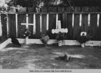 Chickens eating flowers from decorated graves on All Saints' Day in New Roads Louisiana in 1938