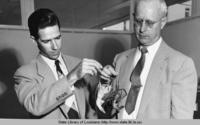 Men holding two species of Louisiana crawfish circa 1960