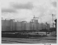 Canal Oil Co., Storage Tanks, Iberia Parish in 1937