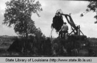 Tractor moving moss at the Duet Moss Gin in Labadieville Louisiana in 1970