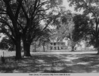 Live Oak Plantation in Bains Louisiana in the 1930s