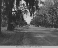 Areas along Lake Pontchartrain in Mandeville Louisiana to be beautified by WPA in 1937