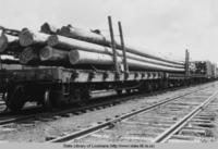 Yellow Pine piling on a railroad car headed for New Orleans Louisiana in 1925