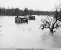 Flooded home near Jonesville, Louisiana at 1937.