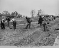 Hand grading and excavation on Zeeland Avenue in Baton Rouge Louisiana in the 1930s