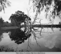 Landscape view of Poydras Louisiana in the 1930s
