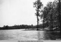 Kisatchie National Forest near Valentine Lake in Natchitoches Parish in the 1930s