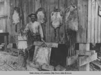 Fur trapper in St. Bernard Parish Louisiana in the 1930s