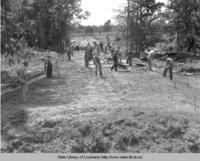 Construction of farm to market road in Caldwell Parish Louisiana in the 1930s