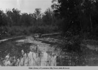 Boat guiding logs on Bayou Grosse Tete in Iberville Parish in the 1930s