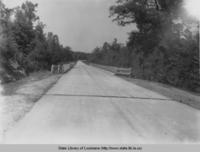 Paved Highway Number 171 near Many Louisiana in the 1930s