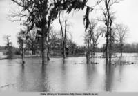 Home almost completely surrounded by water from the "Old River" at White Hall, Louisiana after 1937 flood.