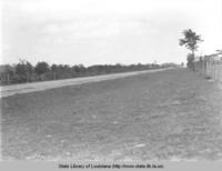Roadside improvements and erosion control along State Highway Number 15 between Louisiana and Mississippi in 1941