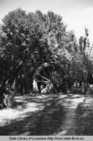 Water wheel in Warnertown Louisiana in the 1930s