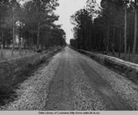 Farm to market road near Albany Louisiana in 1937