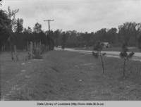 Roadside improvements to the Columbia-Grayson Highway in Caldwell Parish in 1941