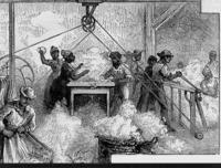 American cotton:  Its cultivation and preparation in Mississippi