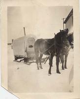 Horses and sled