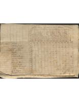 Matthew Flannery census of New Orleans, 1805 August 5.
