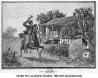 Sketch of "Cupid on horseback" from the prairie country of southwestern Louisiana.