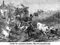 Union foragers confiscating livestock.