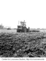 Four-wheel drive tractor, sugar field.
