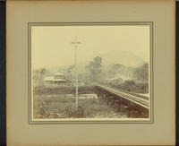 Railroad and facilities of the Cuyamel Fruit Company, Honduras.