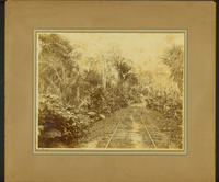 Railroad and grounds of the Cuyamel Fruit Company, Honduras.