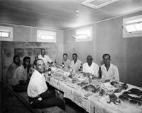 Eight black men eating crabs