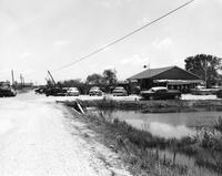 Looking east in Creole from junction of Hwys. 27 and 82 after Hurricane Audrey
