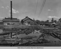 Sawmill in central Louisiana in the 1930s