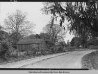 Road with shack along Bayou Grosse Tete near Indian Village